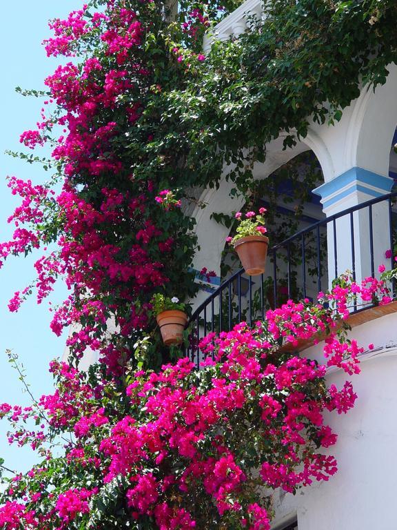 Pierre & Vacances Mojacar Playa Eksteriør bilde
